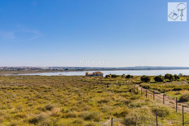 Foto 0f2fd979-1ac6-4fa6-b6e2-b5b005357211. Casa amb piscina a Rojales