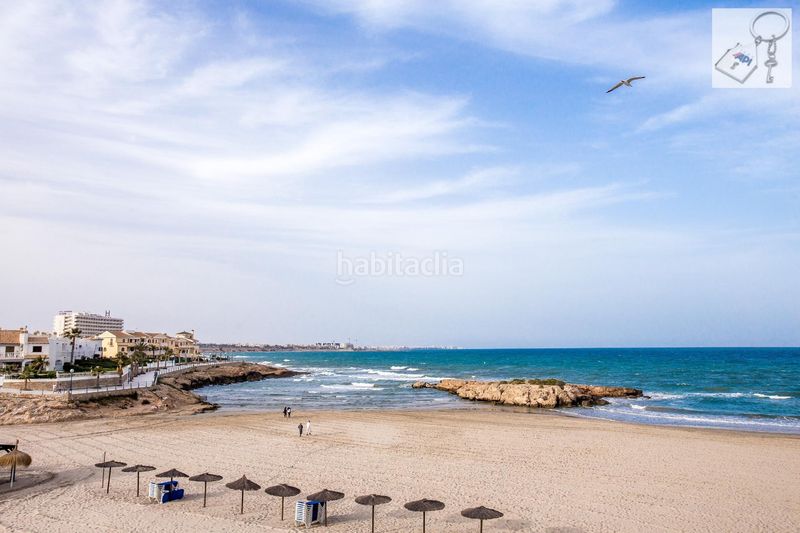 Foto f70949bf-50e5-46d9-9eb1-eecaf05de458. Bauernhof in Playa Flamenca Orihuela