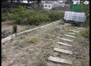 Mas à Ceutí. Finca rúst. en venta en ceuti.