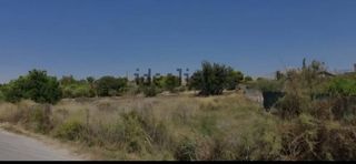 Fondo rustico en Cam� juncaret 19