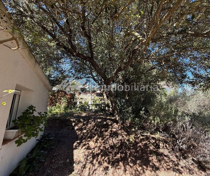 Foto a1555d2f-9185-4c12-94cc-3c83a5956a08. Casa amb calefacció aparcament piscina a Canyamars Dosrius