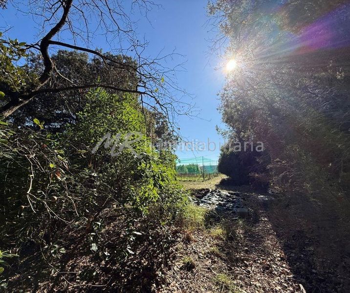 Foto c75e8e44-10e8-4995-aceb-d8902a4a4f2c. Casa amb calefacció aparcament piscina a Canyamars Dosrius