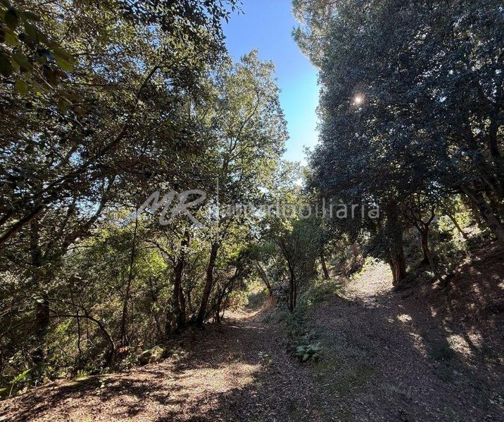 Foto ccb70e2e-c2cb-4550-bc8c-51d80119f04a. Casa amb calefacció aparcament piscina a Canyamars Dosrius