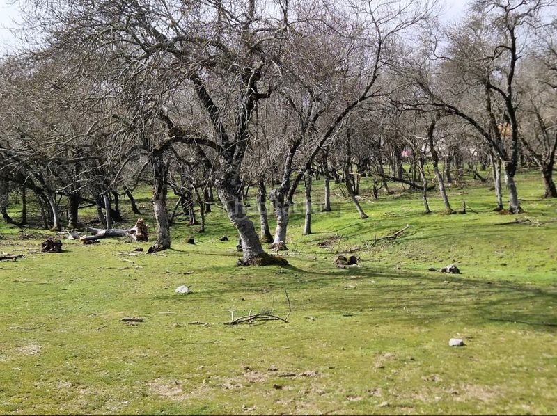 Foto 6af41085-662f-4b75-9b50-1eb297c54752. Finca rústica a Guadarrama