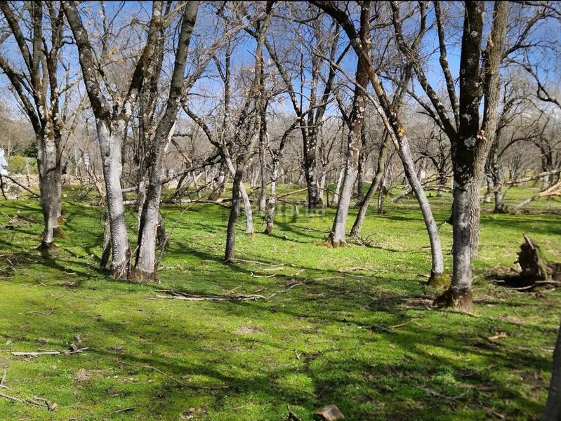 Foto 6bec7a52-1128-44ba-ba1a-713f37cbed18. Finca rústica a Guadarrama