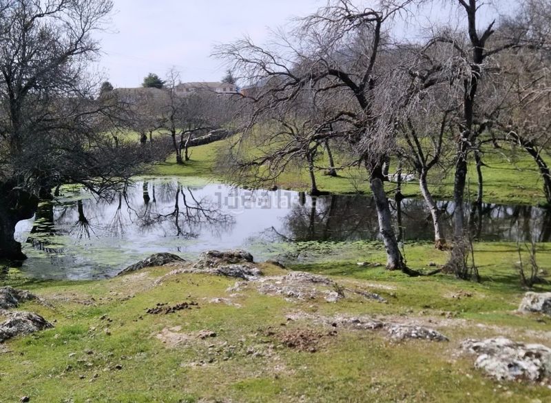 Foto 8ca687c7-61d7-4a22-9440-959f01c82a37. Finca rústica a Guadarrama