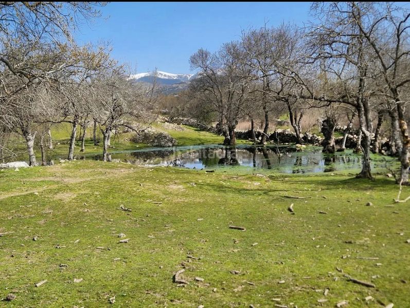 Foto 9a0aaa1d-78f1-429d-9b49-5bc30d86e030. Finca rústica a Guadarrama