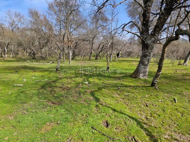 Foto c2522c6c-84d7-4b91-b2e6-f37dabc8955c. Finca rústica a Guadarrama