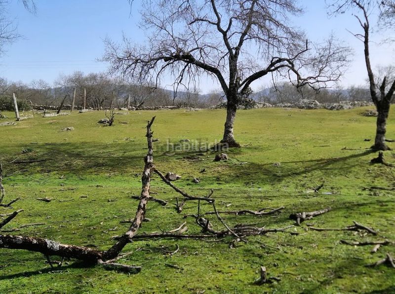 Foto c4345146-6103-47fc-bc4e-7181b4b9660b. Finca rústica a Guadarrama