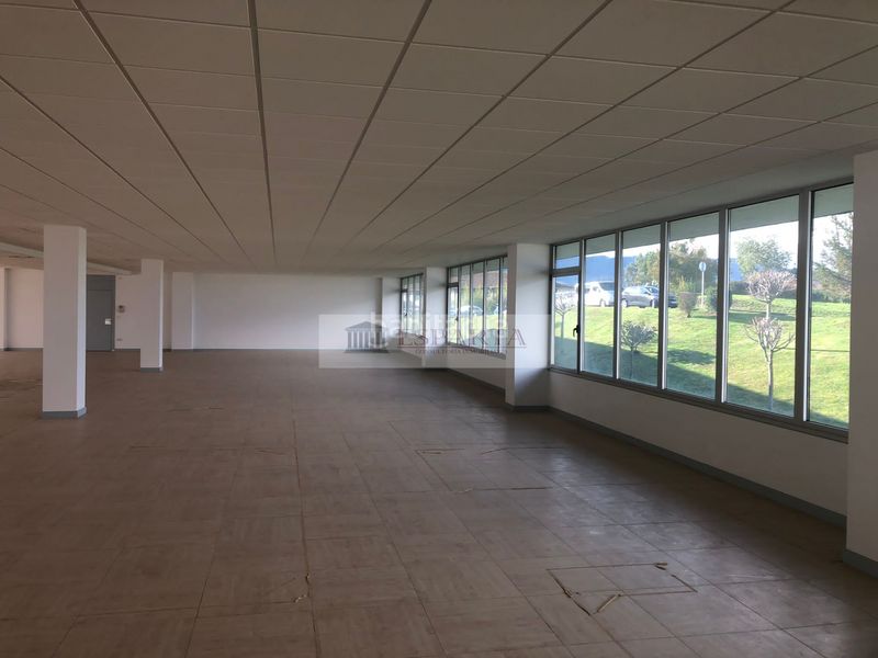 Foto b17e9461-25f5-44a2-b11f-6f0f0830198d. Ufficio in Erandio