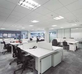 Oficina a Derio. Oficinas nuevas en derio