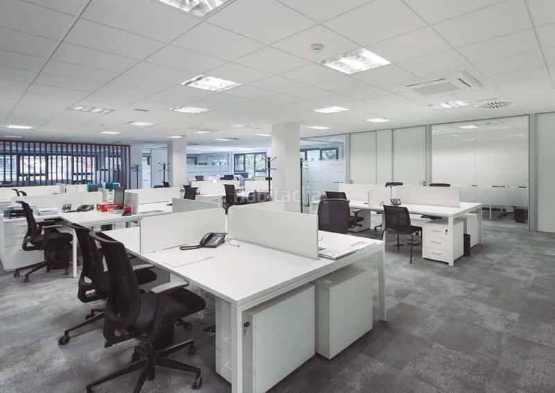 Foto c4c829b0-d19a-4eec-80cc-44378c79f357. Ufficio in Derio