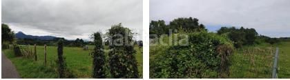 Foto c39d2429-2a94-4b04-8e00-cf8298eb29d0. Terreny residencial a Ribadesella