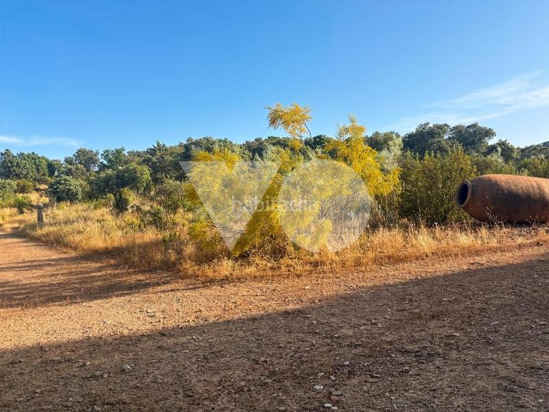 Foto 00d3d127-3013-4419-b136-e953040f2d11. Mas avec chauffage parking dans Pino Alto-Navarredonda Valdemorillo