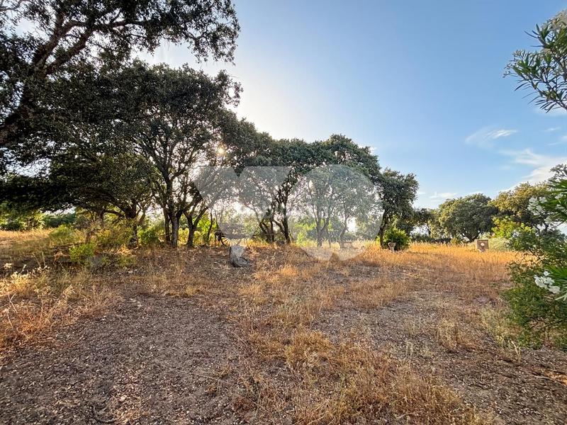 Foto 251a9025-7b3b-4aee-aae1-3dde2d7db6b1. Mas avec chauffage parking dans Pino Alto-Navarredonda Valdemorillo