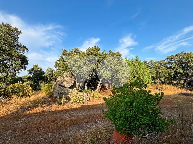 Foto 2ddaa922-099e-433f-8070-e827ea741dfc. Mas avec chauffage parking dans Pino Alto-Navarredonda Valdemorillo