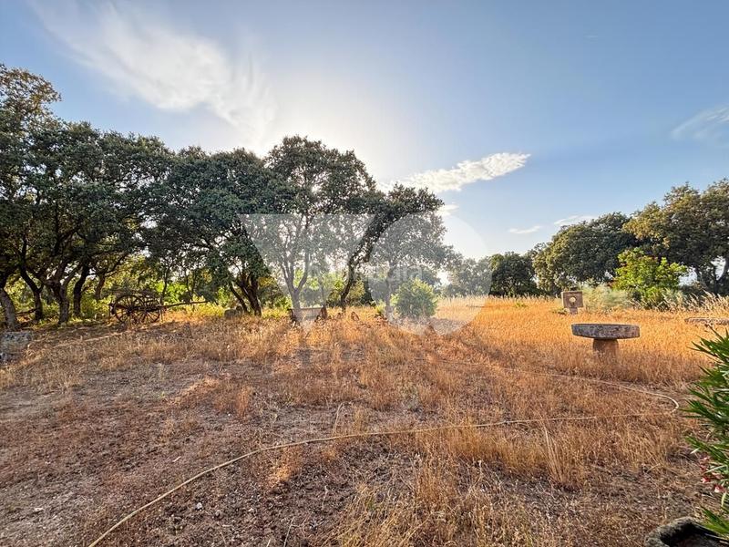 Foto 3ee4120a-53c7-41ed-8952-43f755b31012. Mas avec chauffage parking dans Pino Alto-Navarredonda Valdemorillo