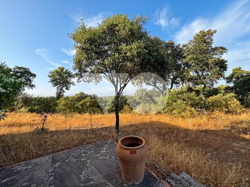 Foto 5eb62307-8a48-4f6a-8284-a31bf1e4f9b3. Mas avec chauffage parking dans Pino Alto-Navarredonda Valdemorillo