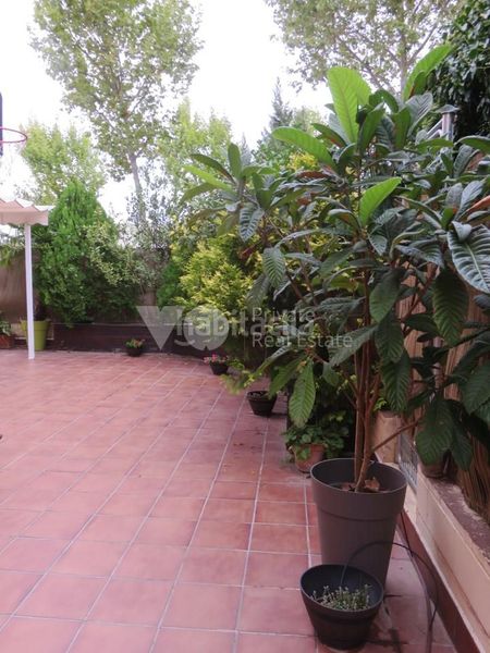 Foto 08e938a2-a713-46cf-beab-bb838acf1227. Planta baixa amb calefacció piscina a Sector S Boadilla del Monte