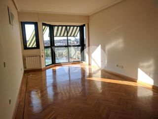 Flat in Tintín Y Milú