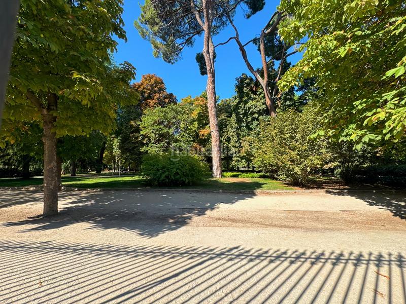 Foto acbe613a-e50a-485a-bc3f-5b255dee8e95. Planta baixa amb calefacció a Ibiza Madrid