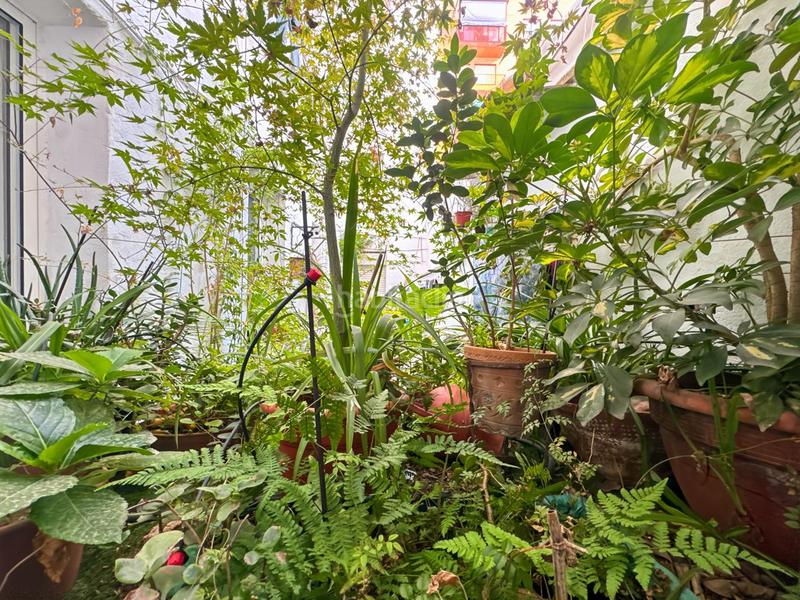 Foto ce434642-fc7d-47f8-87d1-eaa738812e96. Planta baixa amb calefacció a Ibiza Madrid