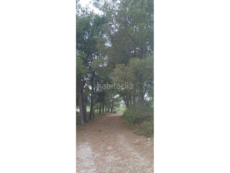Foto 02f4812e-5dcc-4b64-a229-5393bb4e7e22. Finca rústica a Borges Blanques (Les)