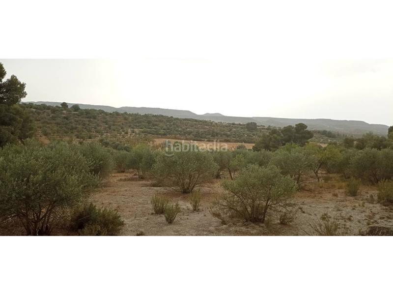 Foto 2a2a60a3-68b7-4eed-9411-619bc020604c. Finca rústica a Borges Blanques (Les)