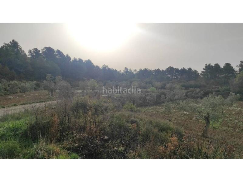 Foto 415bb76c-e06c-475a-84ab-7cf4ea0e4373. Finca rústica a Borges Blanques (Les)