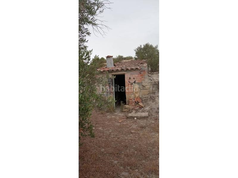 Foto 4b8528c2-d2a0-47f9-a575-1e3530adf129. Finca rústica a Borges Blanques (Les)