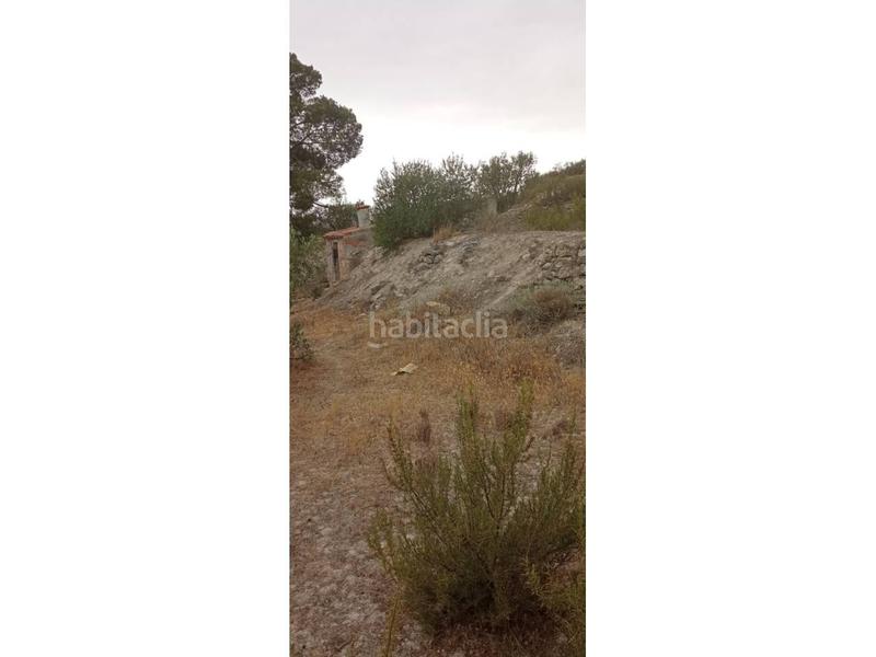 Foto 9adc9834-c81b-4d98-a282-c86861a4a8d2. Finca rústica a Borges Blanques (Les)