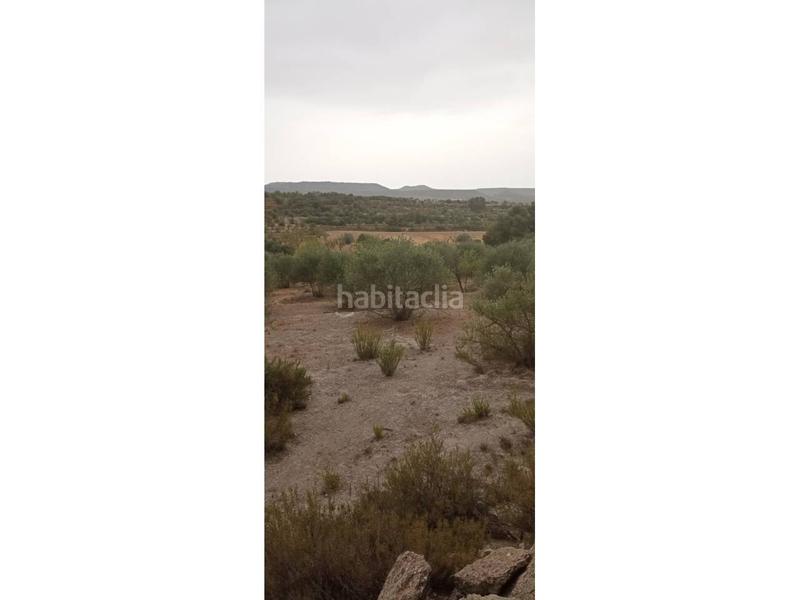 Foto a6691445-915f-41bf-8f48-29464895553d. Finca rústica a Borges Blanques (Les)
