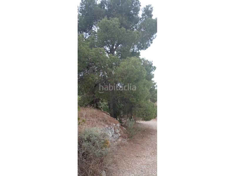 Foto b8282011-d457-488b-9b86-fd1b8dd5e536. Finca rústica a Borges Blanques (Les)