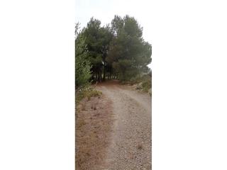 Finca rústica  Partida la basseta del bissell. Finca venta en les borges blanques lleida