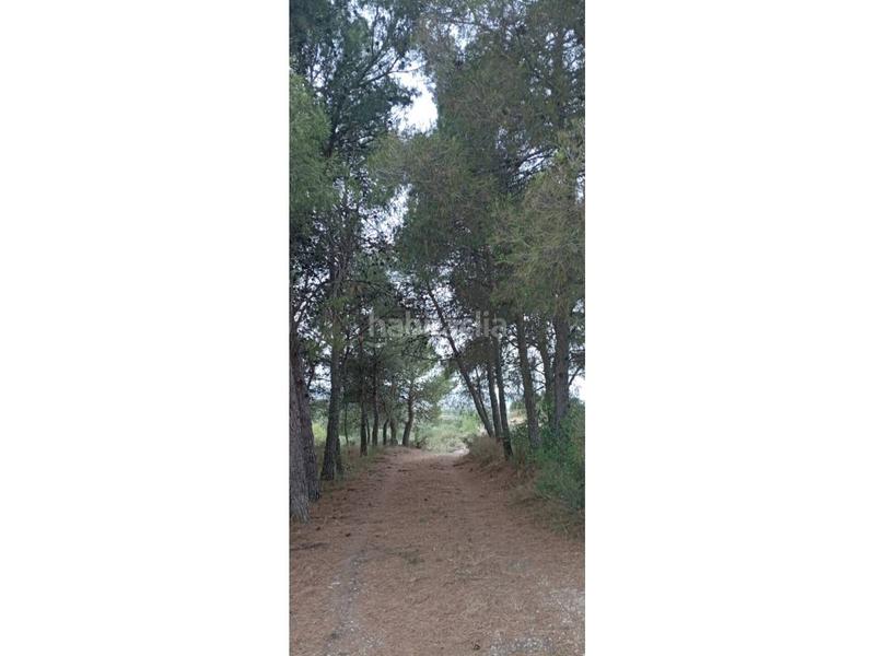 Foto e945a4ef-be4b-413e-b588-46df7380ac7f. Finca rústica a Borges Blanques (Les)