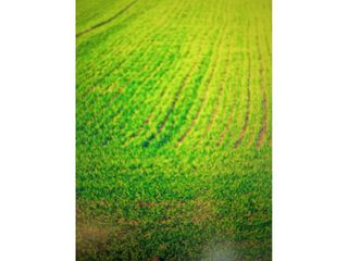 Finca rústica a Calle LES PLANES