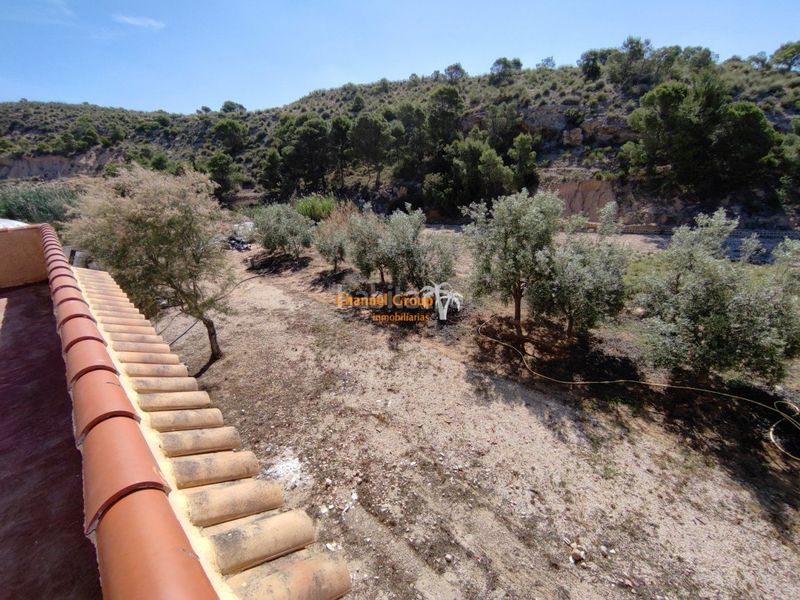Foto 1ae1dcc7-25a8-4185-bdbb-cdcfdb46b0d6. Casa amb piscina a Crevillente