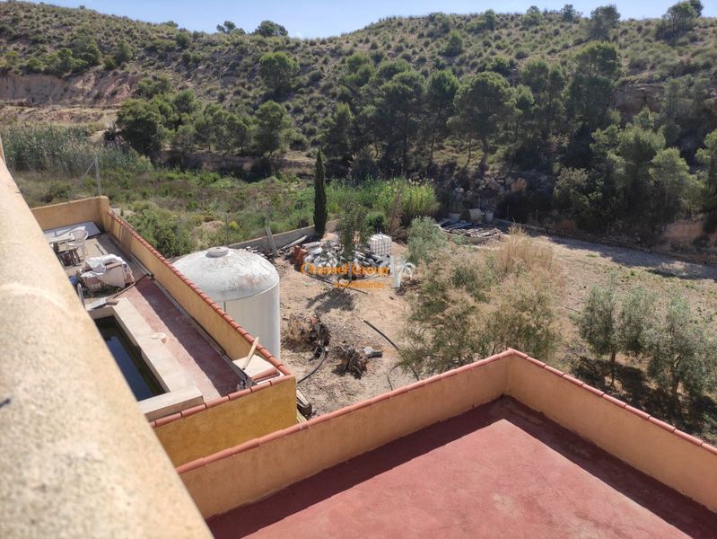 Foto 33ce8126-347b-42fa-977c-886f039a564a. Casa amb piscina a Crevillente