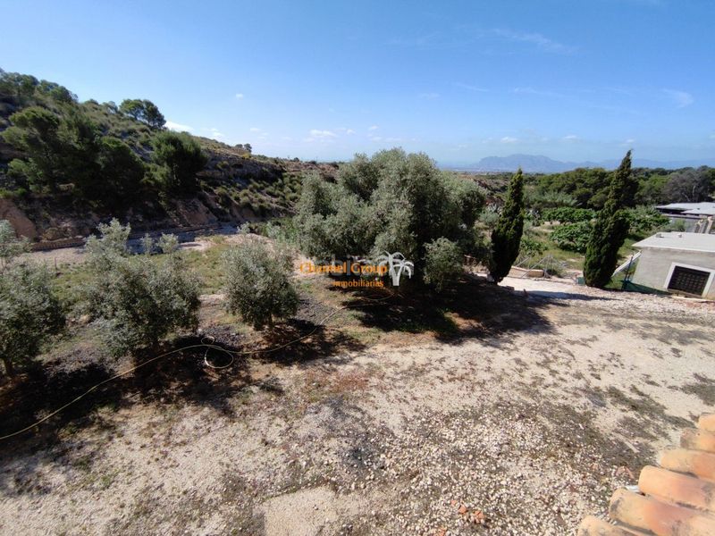 Foto 4321df6f-8a6d-4bda-9576-af6931c323b8. Casa amb piscina a Crevillente