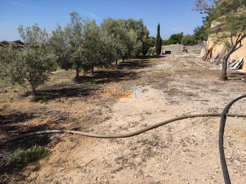 Foto 60170cc9-1bb5-4704-8bbc-51cd3662a999. Casa amb piscina a Crevillente