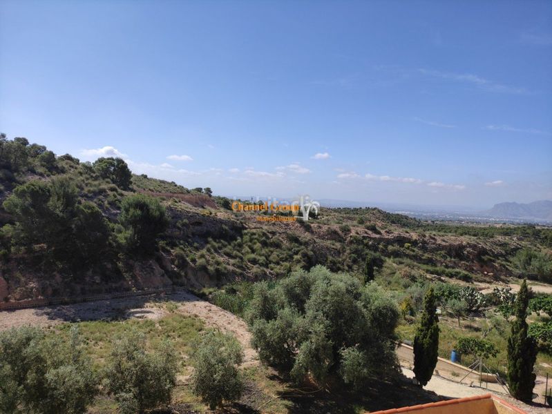 Foto aafac8d4-7fe4-4370-9760-a01fb7390b40. Casa amb piscina a Crevillente