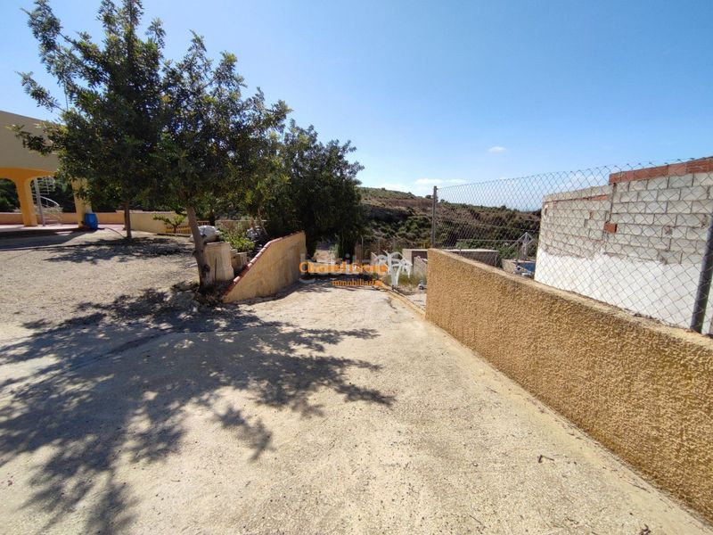 Foto dc1deab8-b0ed-4d45-addc-f3fba0ed39cb. Casa amb piscina a Crevillente