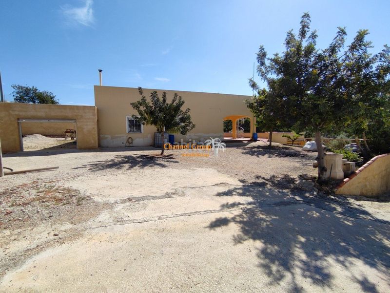 Foto fceed176-504e-4740-99ee-8702010161c0. Casa amb piscina a Crevillente