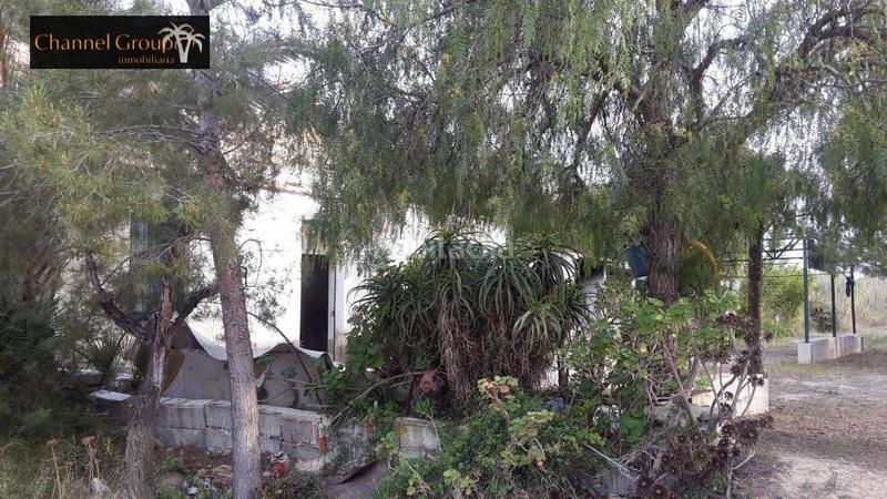 Foto 04bdda55-7f63-4d9f-a9f5-647e6c0fbbb7. Bauernhof in Peña de las Águilas Elche / Elx