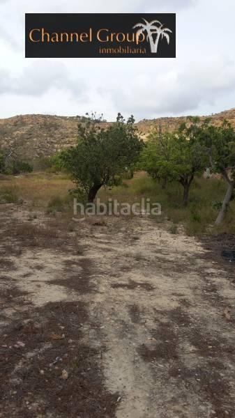 Foto 3a49dec9-7507-4d93-8a7a-cc1b4f418f60. Bauernhof in Peña de las Águilas Elche / Elx