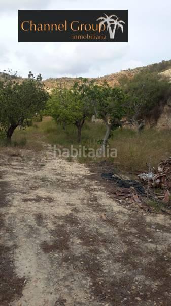Foto a10d4d57-c34e-4ad6-894e-0102d56f0331. Bauernhof in Peña de las Águilas Elche / Elx