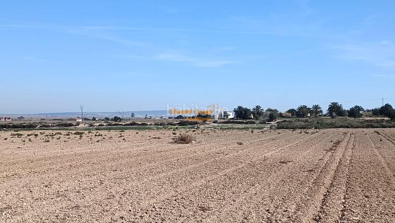 Foto e6000b44-2a0d-412b-8afa-75f37372e530. Residential plot in La Marina Elche / Elx