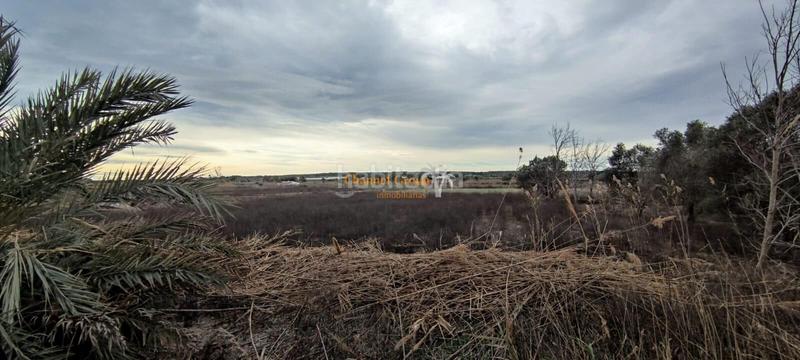 Foto 149f255d-ff8d-4b68-b9bf-dc491f2e62f6. Terreny residencial a Centro Elche / Elx