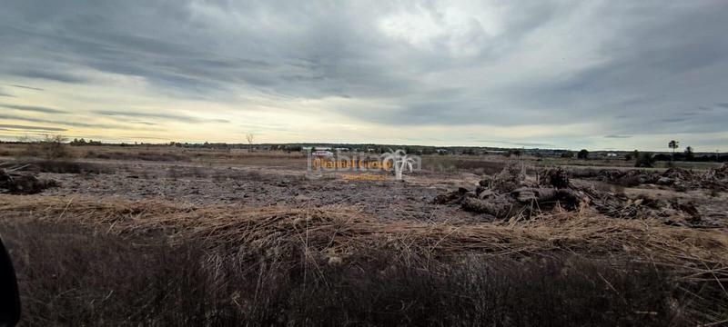 Foto 65e63d25-2619-4edf-a07f-0694b88e5dc5. Terreny residencial a Centro Elche / Elx