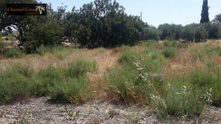 Residential Plot in La Algoda - Matola - Llano de San José. Se vende parcela de 17.000 m2 en partida matola